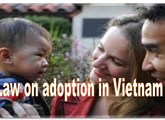 Conditions of the adopter in Vietnam